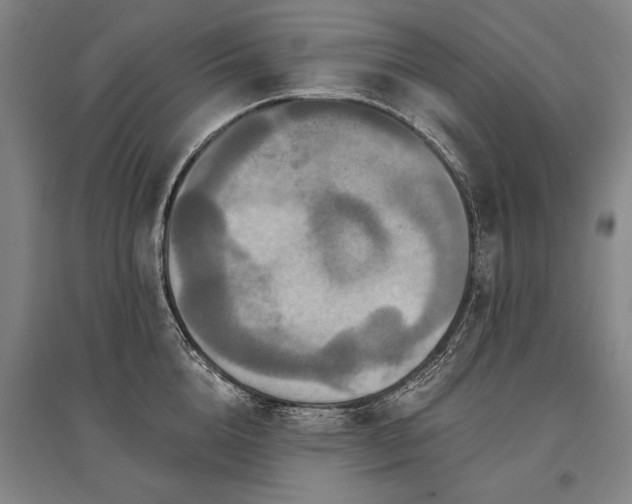 X0000095550856200712141553