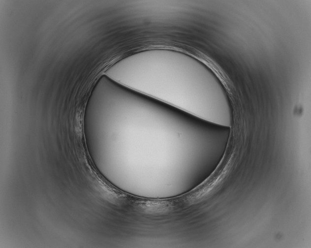 X0000095550857200712141553