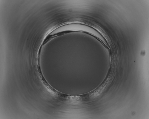 X0000095550858200712141553