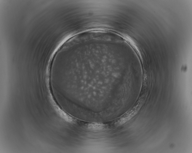 X0000095550859200712141553