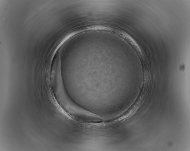 X0000095550860200712141553