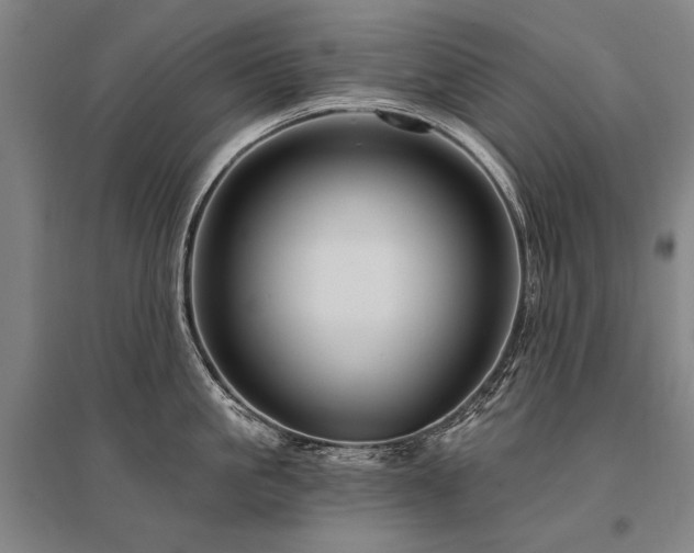 X0000095550861200712141553