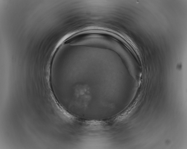 X0000095550862200712141553