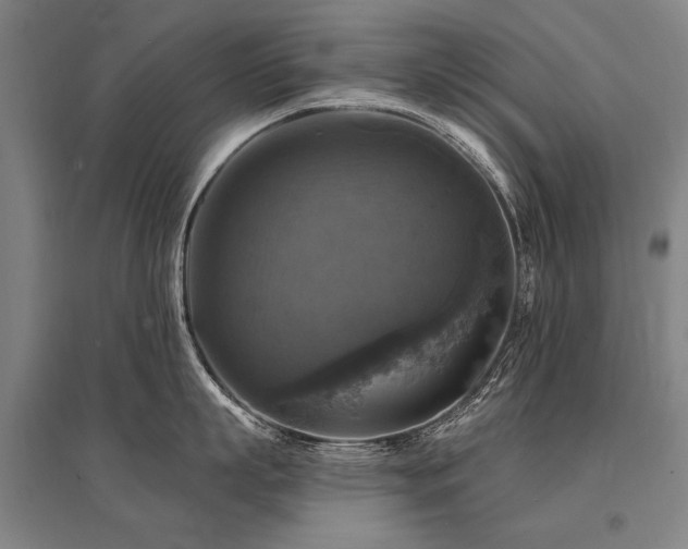 X0000095550863200712141553