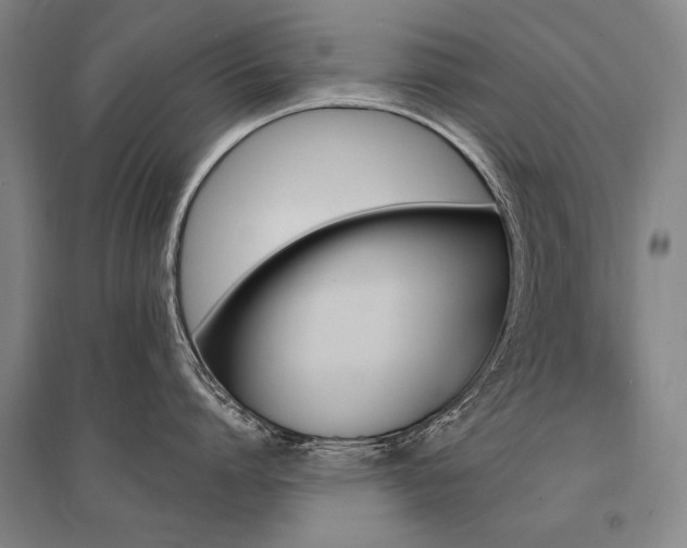 X0000095550864200712141553