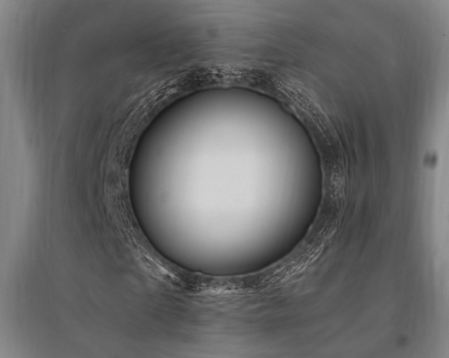 X0000095550865200712141553