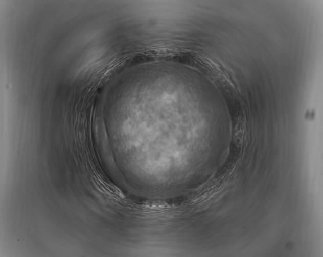 X0000095550866200712141553