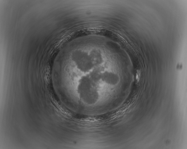 X0000095550867200712141553