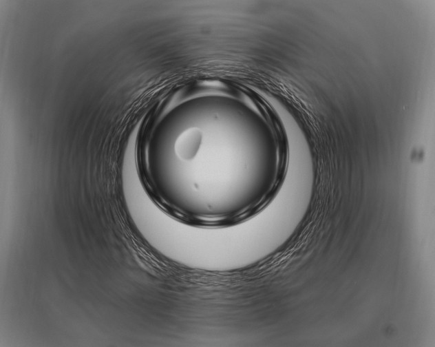 X0000095550868200712141553