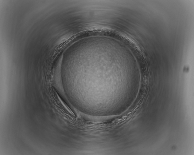 X0000095550869200712141553