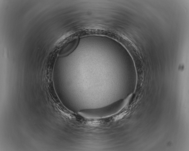 X0000095550870200712141553