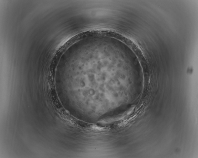 X0000095550871200712141553