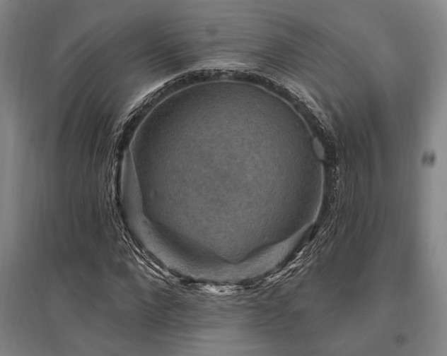 X0000095550872200712141553