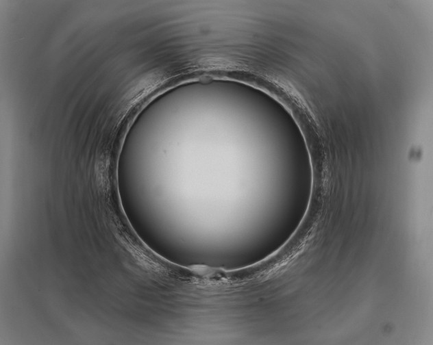 X0000095550873200712141553