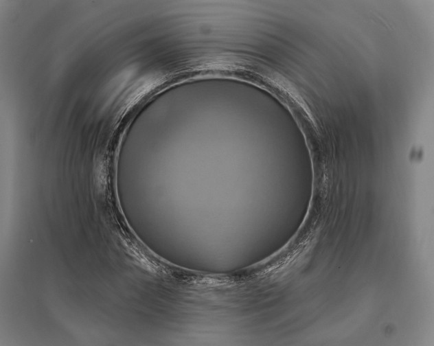 X0000095550874200712141553