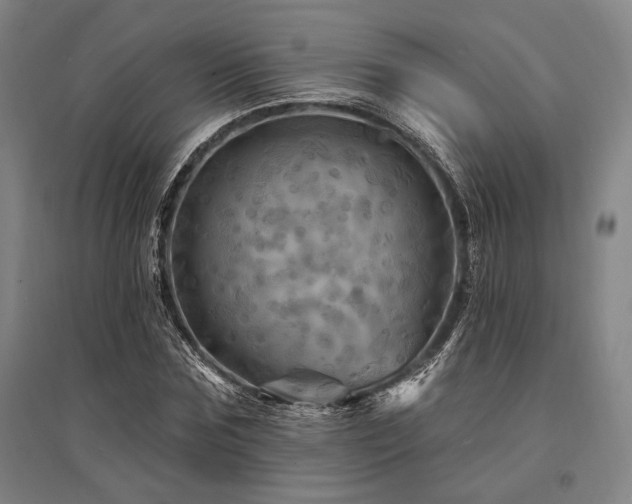 X0000095550875200712141553