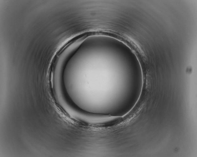 X0000095550876200712141553