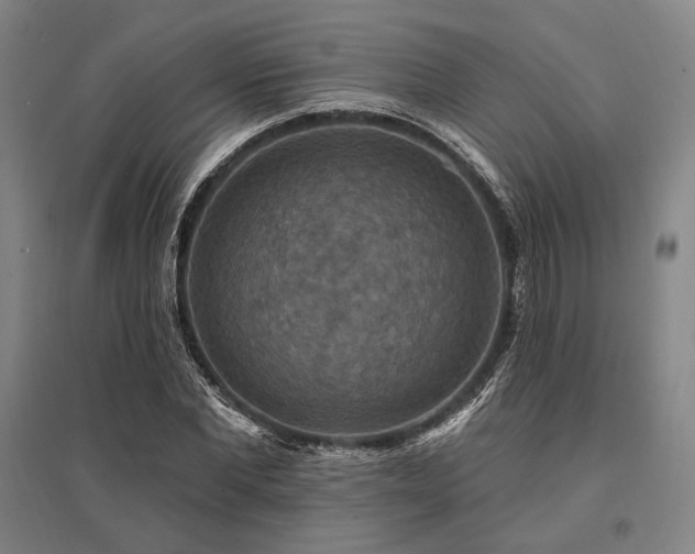 X0000095550877200712141553