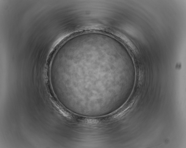 X0000095550878200712141553