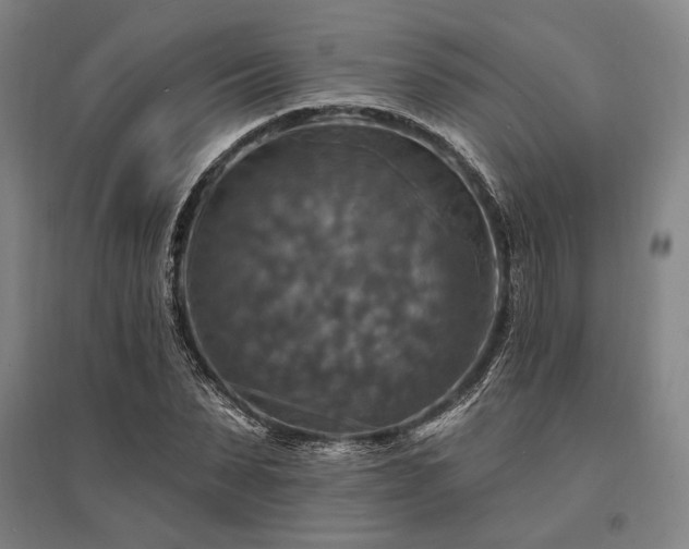 X0000095550879200712141553