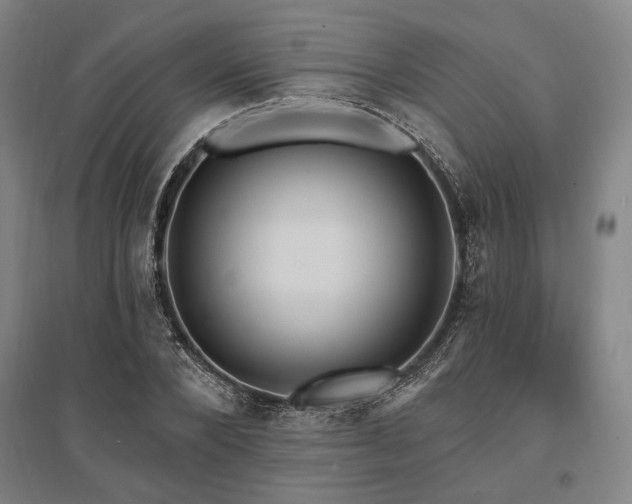 X0000095550880200712141553