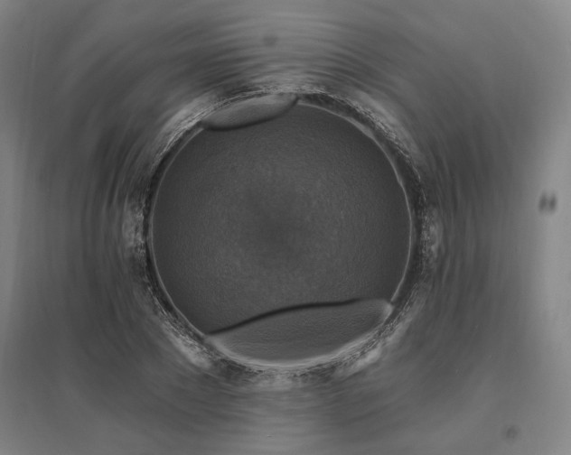 X0000095550881200712141553