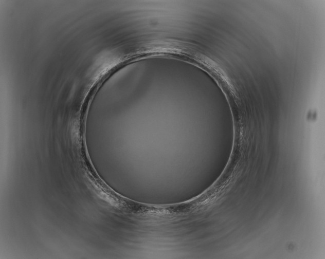 X0000095550882200712141553