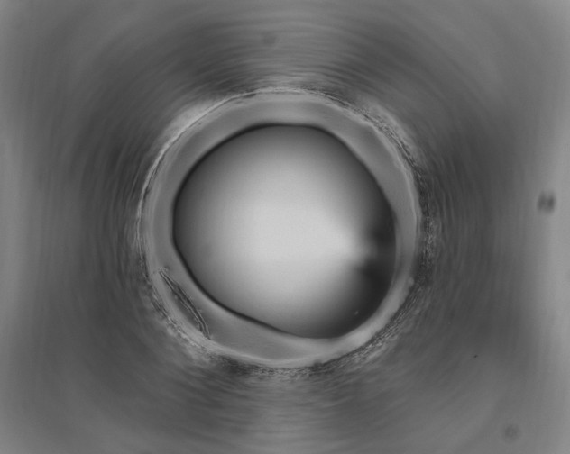 X0000095550884200712141553