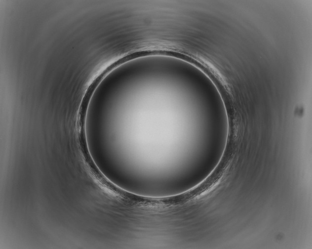 X0000095550885200712141553