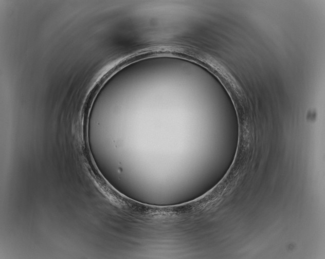 X0000095550886200712141553