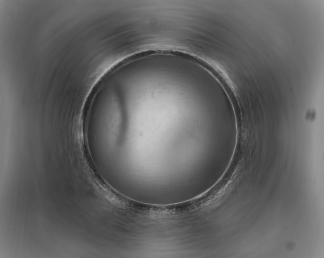 X0000095550887200712141552