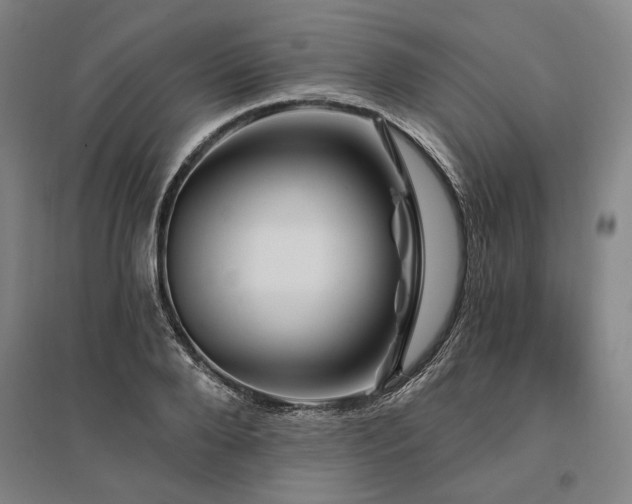 X0000095550888200712141552