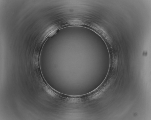 X0000095550889200712141552