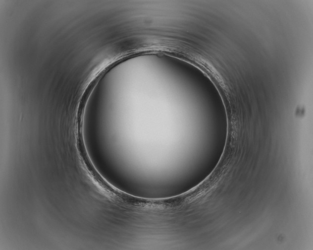 X0000095550890200712141552