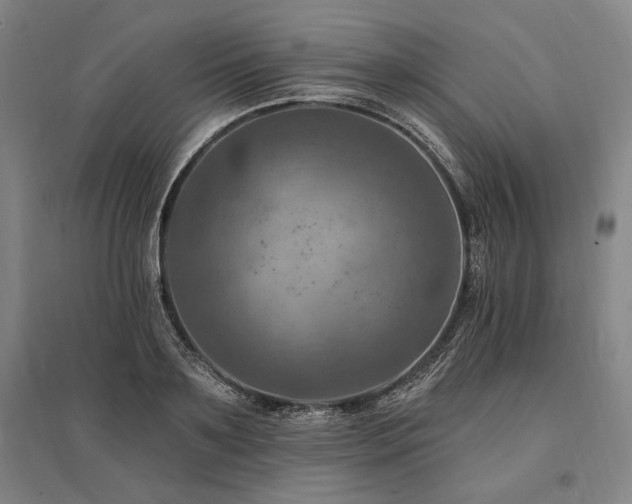 X0000095550891200712141552