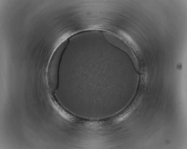 X0000095550892200712141552