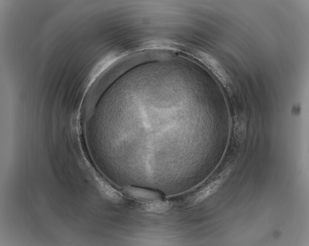 X0000095550893200712141552