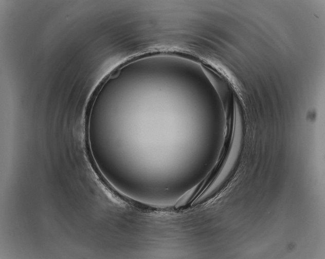 X0000095550894200712141552