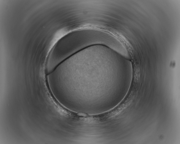 X0000095550896200712141552