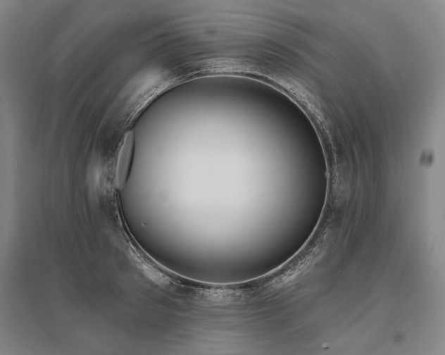 X0000095550897200712141552