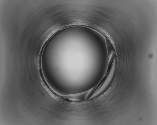 X0000095550898200712141552