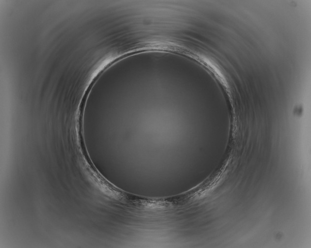 X0000095550899200712141552