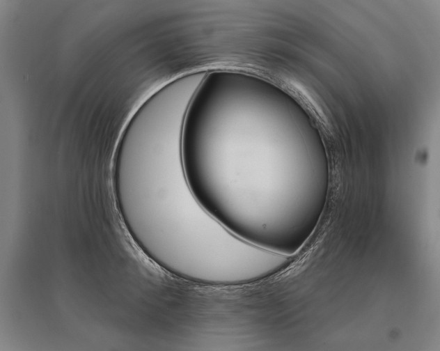 X0000095550900200712141552