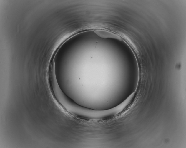 X0000095550901200712141552