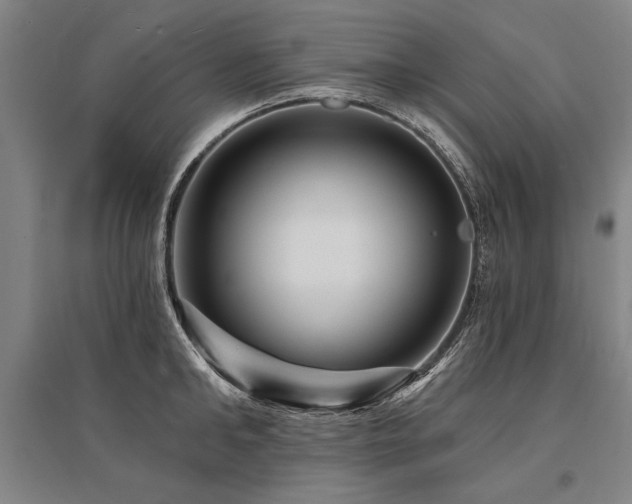 X0000095550902200712141552