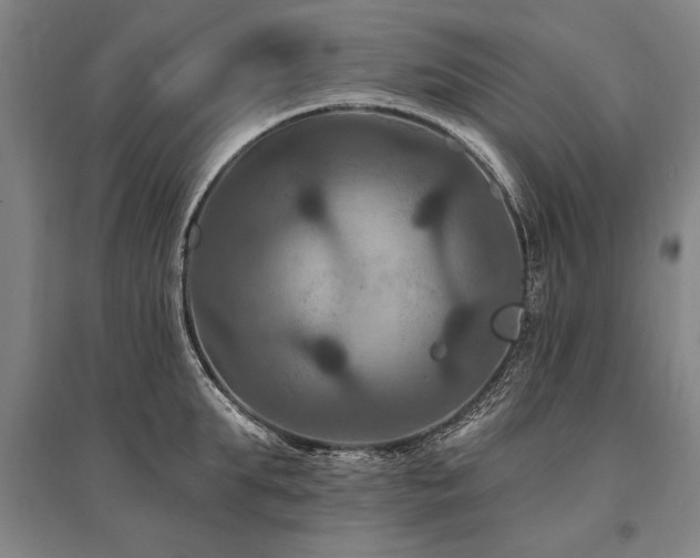 X0000095550903200712141552