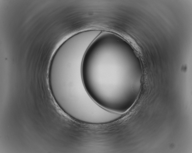 X0000095550904200712141552