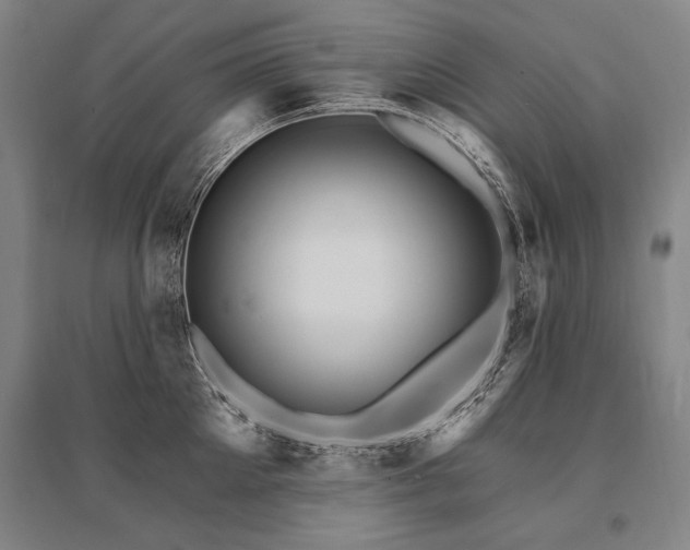 X0000095550905200712141552