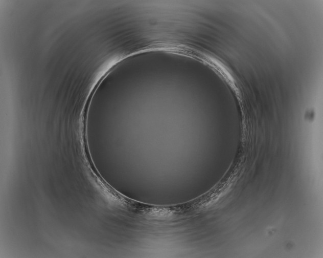 X0000095550907200712141552