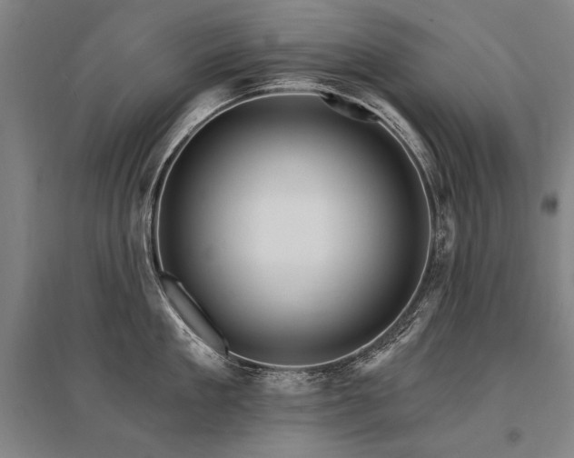 X0000095550909200712141552